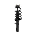 STRUT AND COIL SPRING ASSEMBLY