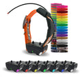 ALPHA TT 25 DOG COLLAR