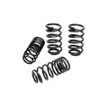 Eibach springs