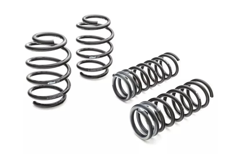 Eibach springs