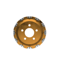 R1 10-23 Chevrolet Camaro Rear Left Drilled Black Brake Rotor
