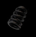 Brian Crower Beehive Single Spring - Polaris XP1000 / XPTurbo