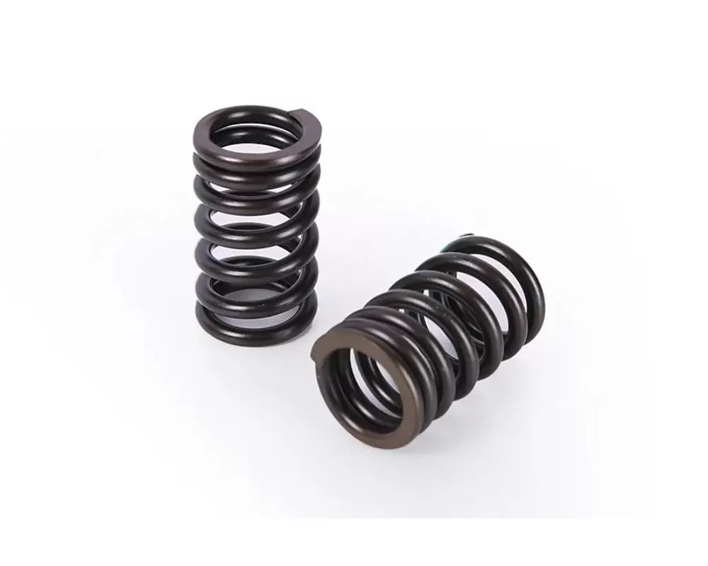 Buddy Club Racing Spec Valve Springs B16/B18