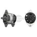 Alternator Rotor