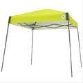 EZ UP VISTA INSTANT SHELTER 10FT BY 10FT