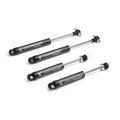 Hotchkis shock absorber close-up