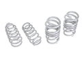 Whiteline 17-26 TESLA MODEL 3 Lowered Front and Rear Lower Coil Spring Lowering Kit