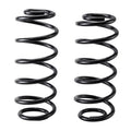 ARB springs close-up