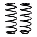 ARB springs installed view
