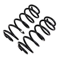 ARB springs detail