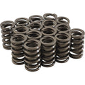 1.260 Valve Springs w/ Damper (16)