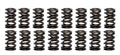 1.260 Dual Valve Springs (16)