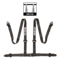 SFI 16.1 ELITE CAM-LOCK HARNESS 3'