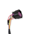 Dominator EFI DBW Harness - Early Truck