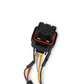 Dominator EFI DBW Harness - Early Truck