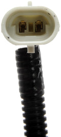 FOG LAMP ASSEMBLY
