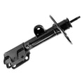 OESPECTRUM STRUT