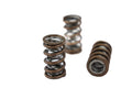 1.290 Dual Valve Springs 16pk