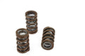 1.290 Dual Valve Springs 16pk