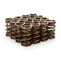 STRAUB TECHNOLOGIES INC. springs