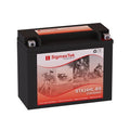 BikeMaster 1x72in Tiedown 20pc Carton - Red