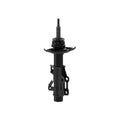 OESPECTRUM PREMIUM STRUT