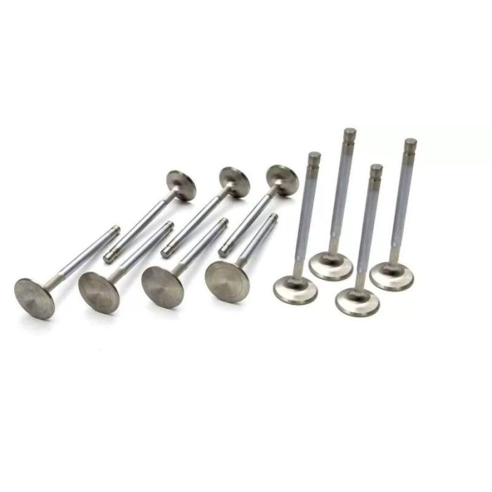 Manley Performance intake system
