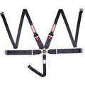 RaceQuip Black SFI CAMLOCK 5pt PD Lap HNR Seat Belt