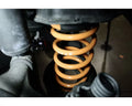 Megan Lowering Springs Ford Focus ST model only 13-18