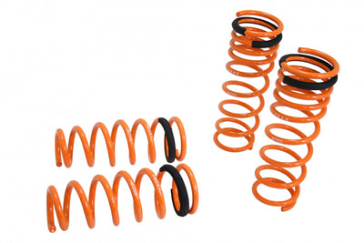Megan Racing springs