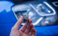 HELLA H7 Halogen, 1 pc