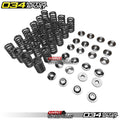 Valve Spring Set, B8/B9 3.0T