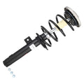 OESPECTRUM PREMIUM STRUT