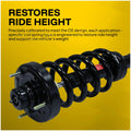 OESPECTRUM PREMIUM STRUT