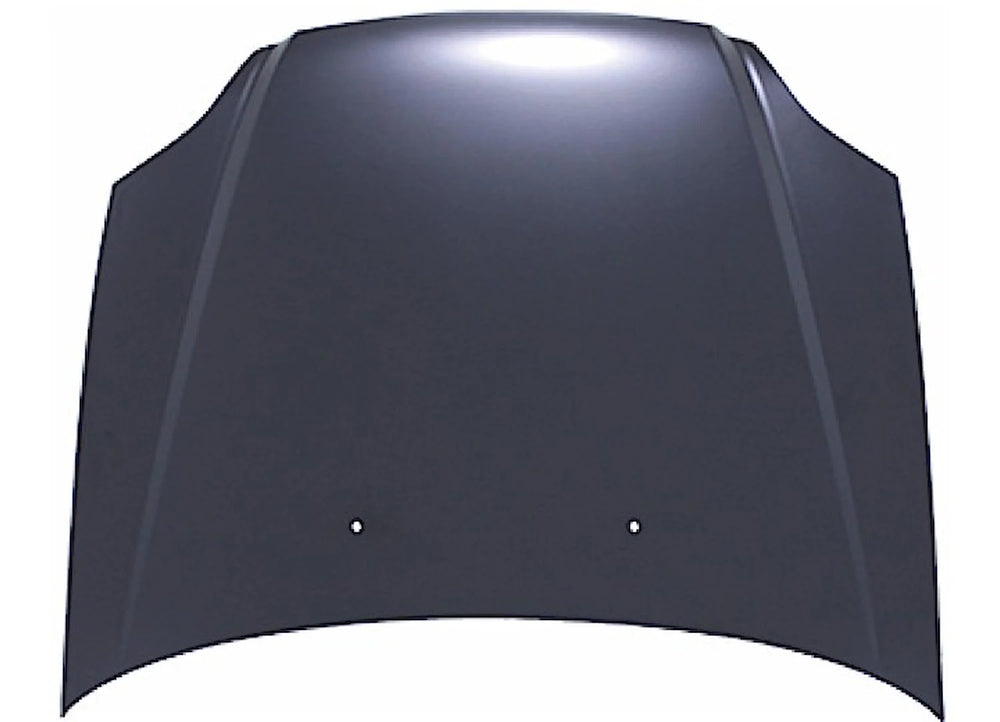 HOOD PANEL ASSY 4DR SEDAN/2DR COUPE/2DR HATCHBACK; USA/CANADA BUILT CIVIC 19992000