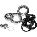 QuadBoss 11-13 CFMOTO Rancher 500 CF500-UTV Rear Differential Bearing & Seal Kit