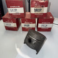RING SET P/MOLY FILE FIT