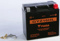 Yuasa GYZ16HL High Performance Maintenance Free AGM 12-Volt Battery
