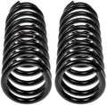 COIL SPRINGS
