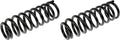 COIL SPRINGS