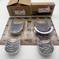 PISTON WITH RINGS