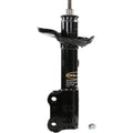 OE SPECTRUM STRUT