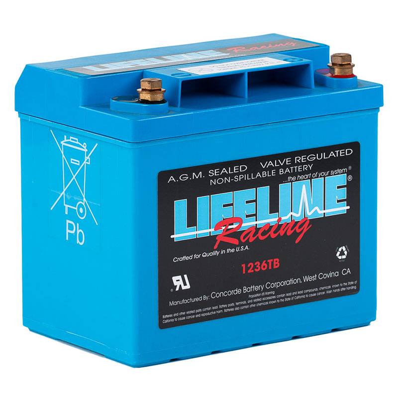 LIFELINE BATTERY auto part
