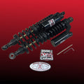 Air Ride Technologies (Ride Tech) shock absorber view