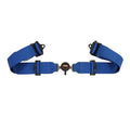 5pt Harness Camlock SFI Sportsman Blue