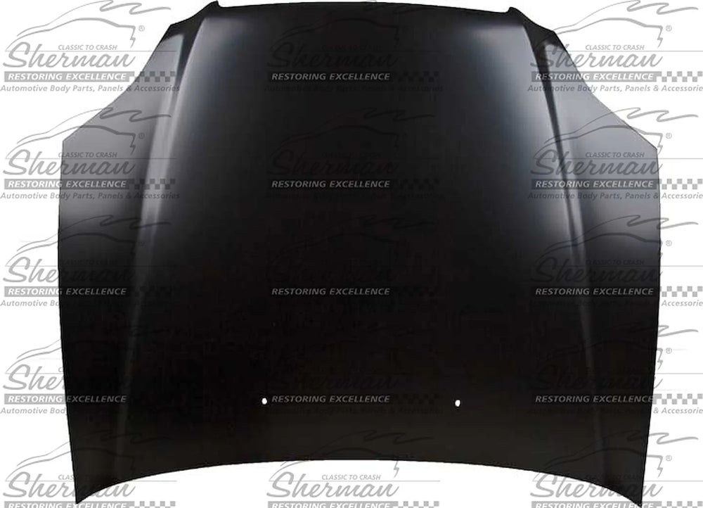 HOOD PANEL ASSY HONDA CIVIC 19961998