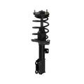 ROADMATIC STRUT AND COIL SPRING ASS