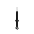 OESPECTRUM STRUT