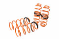 Megan Lowering Springs Ford Fiesta 11-16 (EXC ST MODEL)