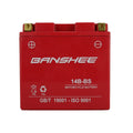 Yuasa YT14B-BS Maintenance Free 12-Volt AGM Battery w/Bottle